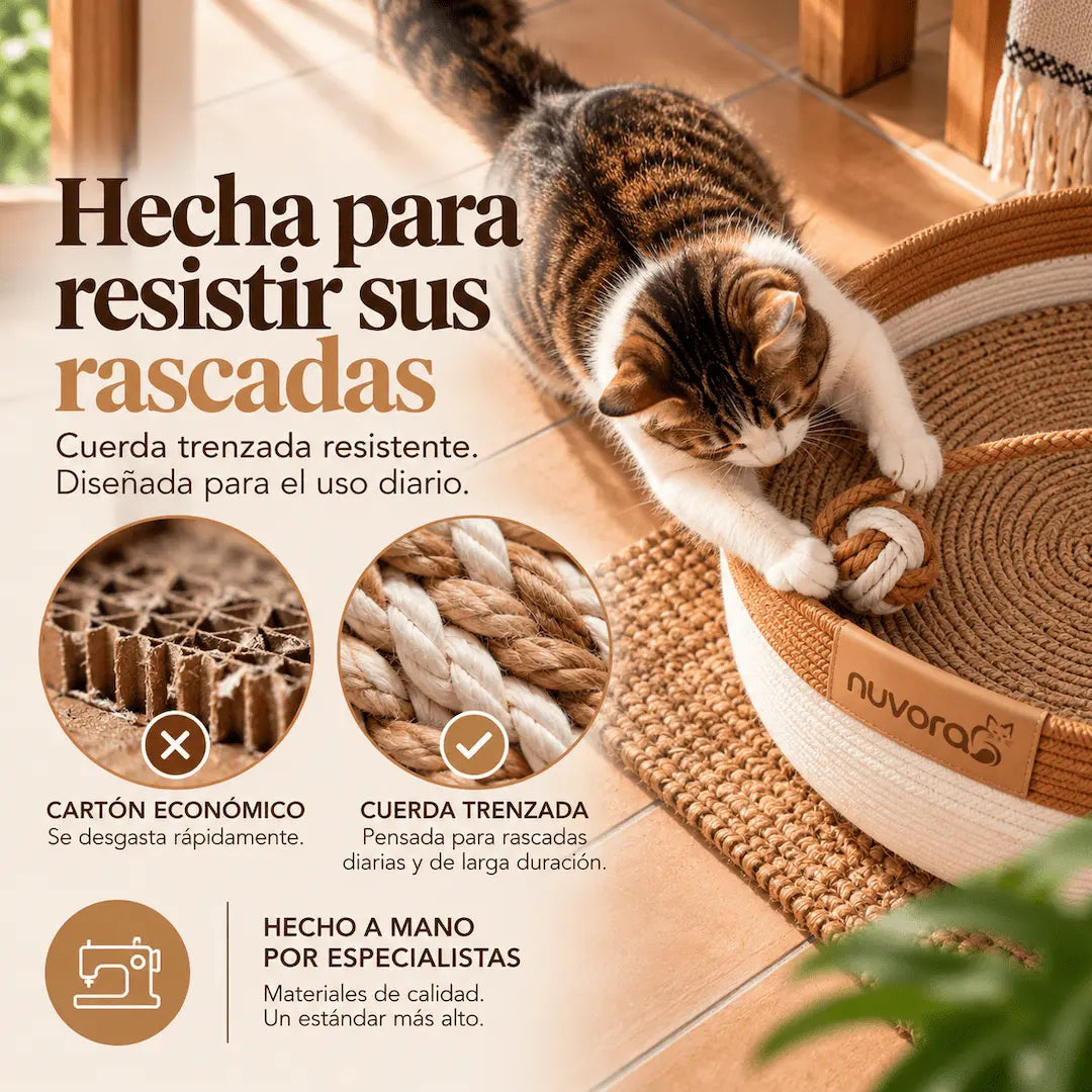 Nuvora Cesta Felina