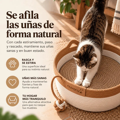 Nuvora Cesta Felina
