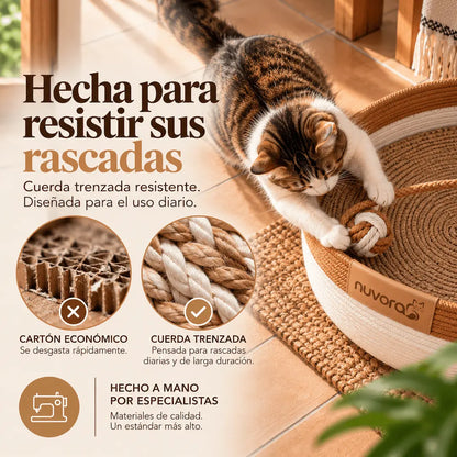 Nuvora Cesta Felina