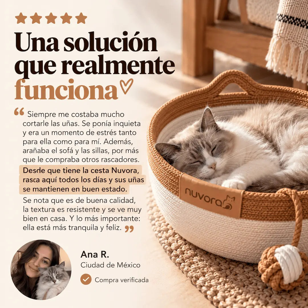 Nuvora Cesta Felina