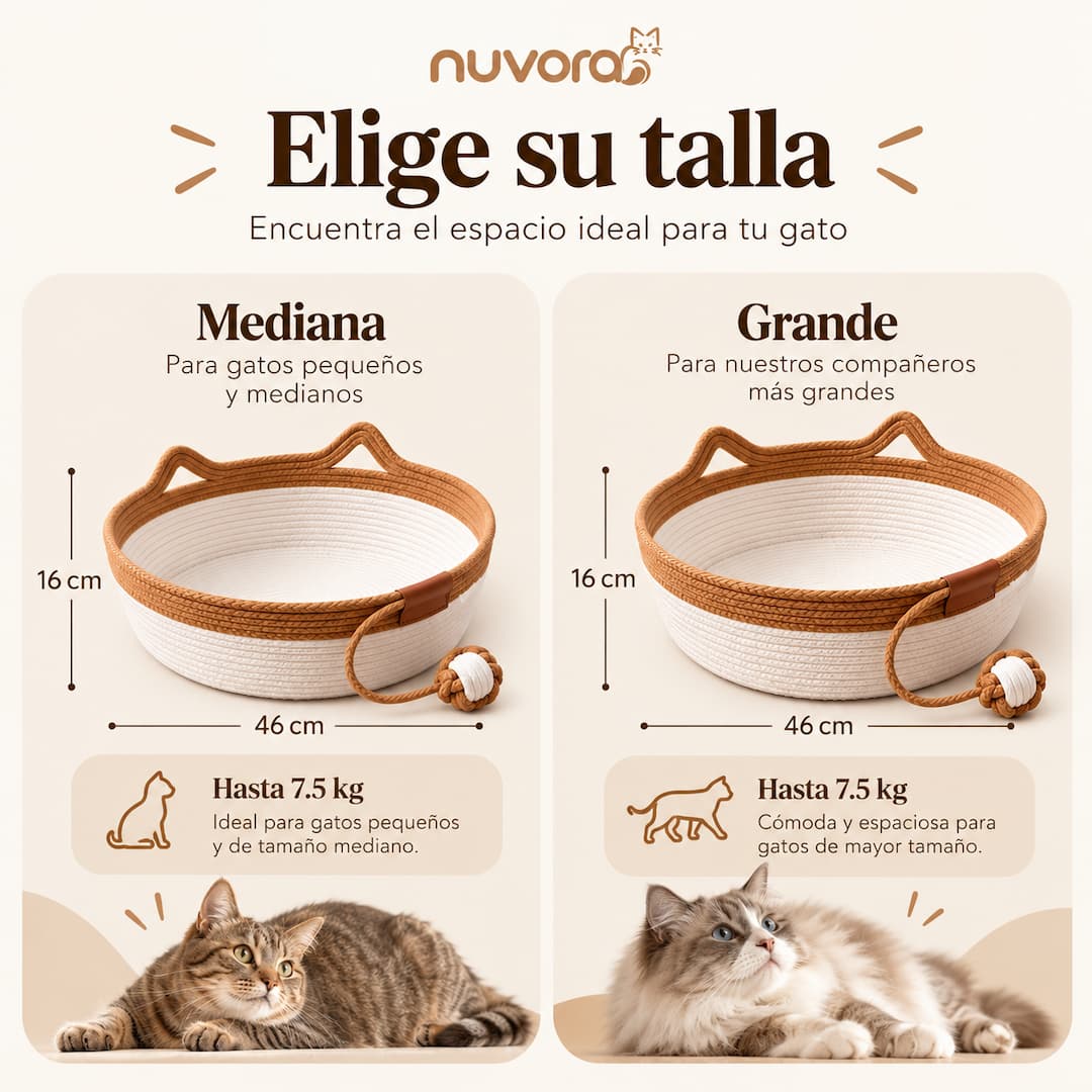 Nuvora Cesta Felina