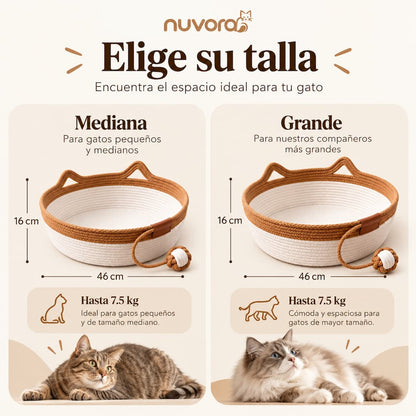 Nuvora Cesta Felina